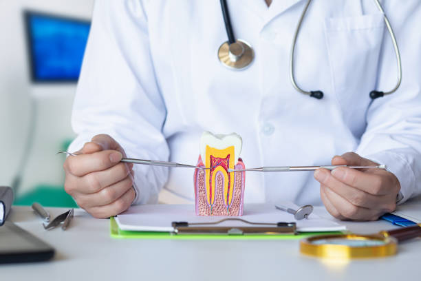 Best Walk-In Emergency Dental Services in Ohioville, PA